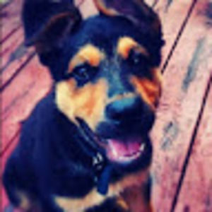 Meet your Posher, Preet